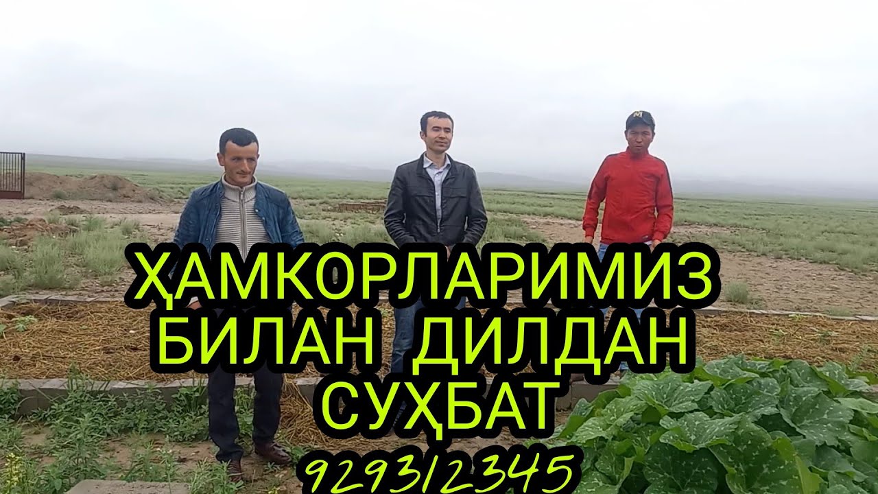 N244. biogumus. tj компаниясининг аьзолари бизнинг меҳмонимиз. 929312345