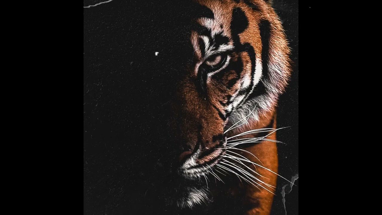 FREE | JID x Clipse Type Beat 2026 - 