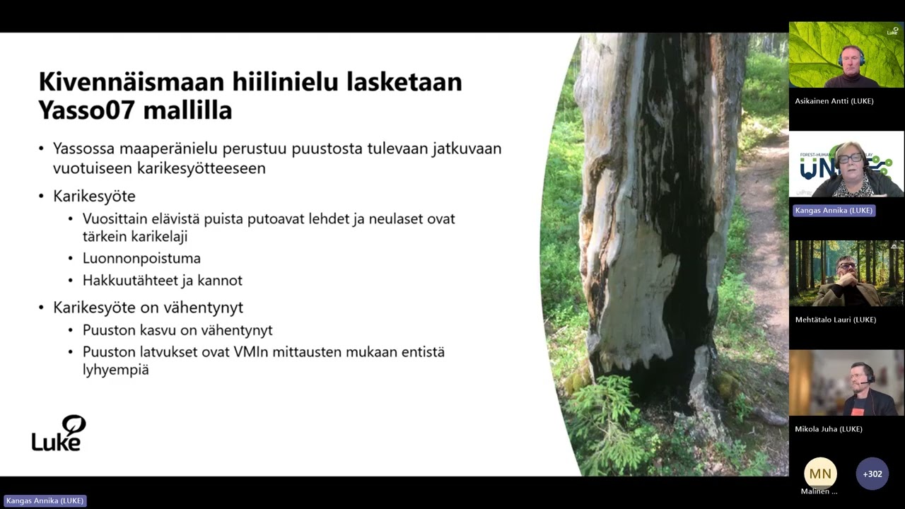 Metsien hakkuumahdollisuudet ja hiilinielulaskelmat - Webinaari 01/2026