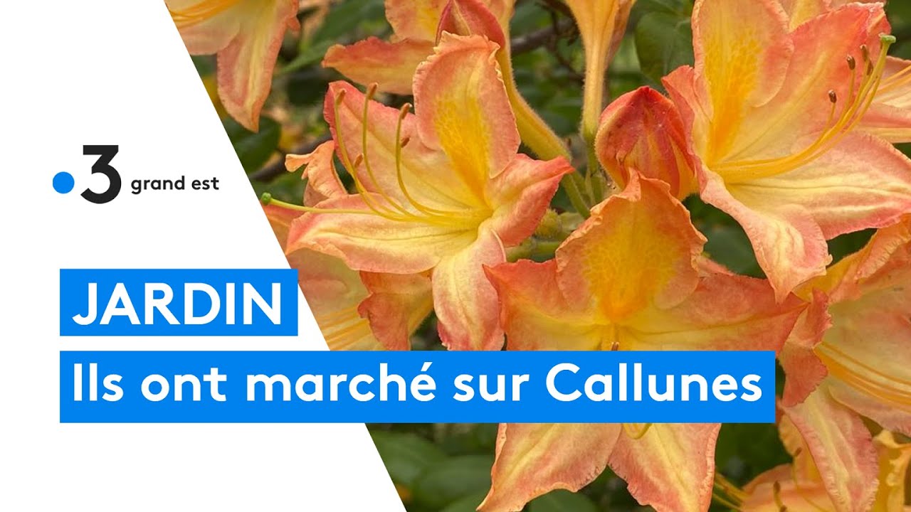 Jardins extraordinaires de Lorraine : le jardin de Callunes