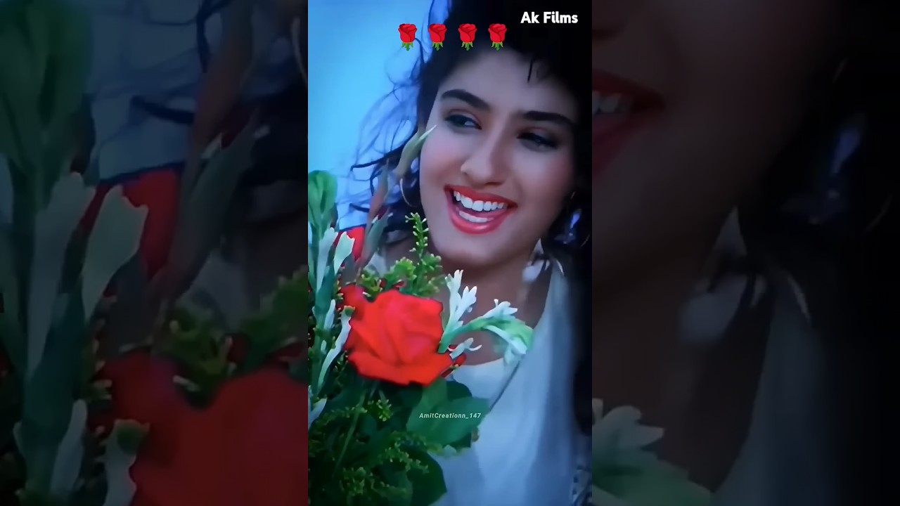 1 se lekey 10 tak number 1 hai tu💕do u love me 💕 Ajay Devgan and Raveena Tandon romantic song