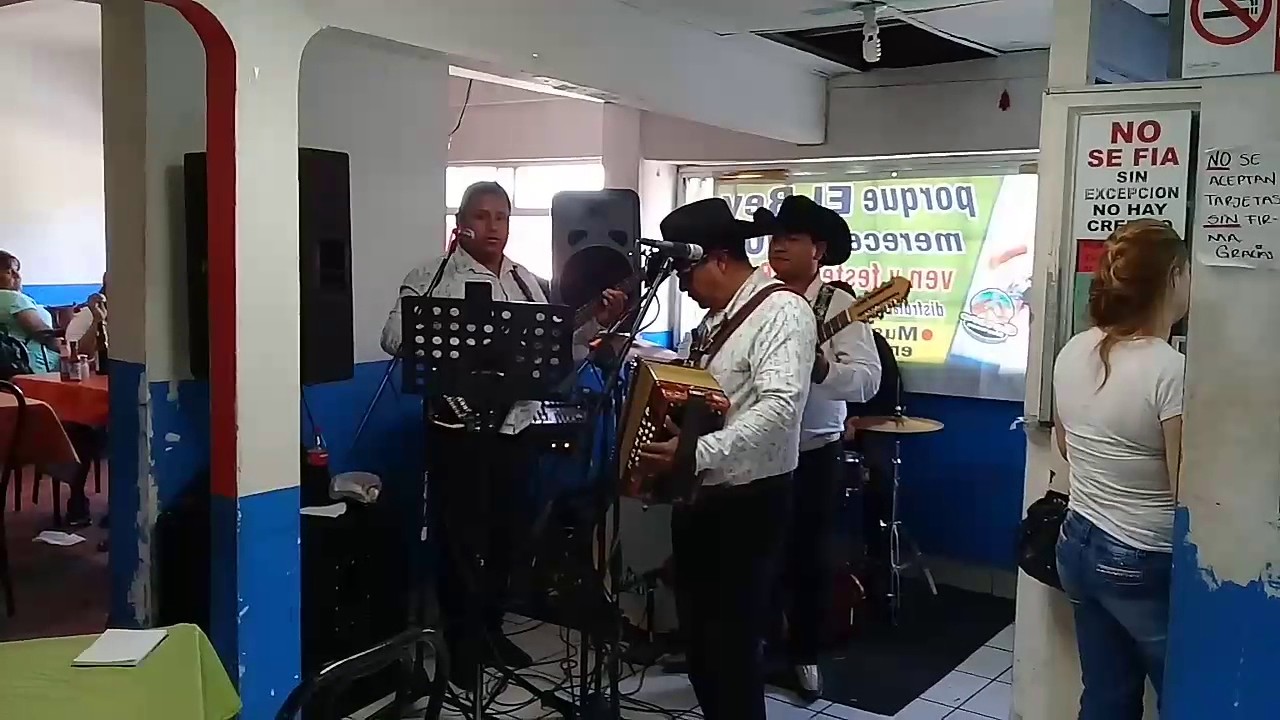 Merompieron turetrato