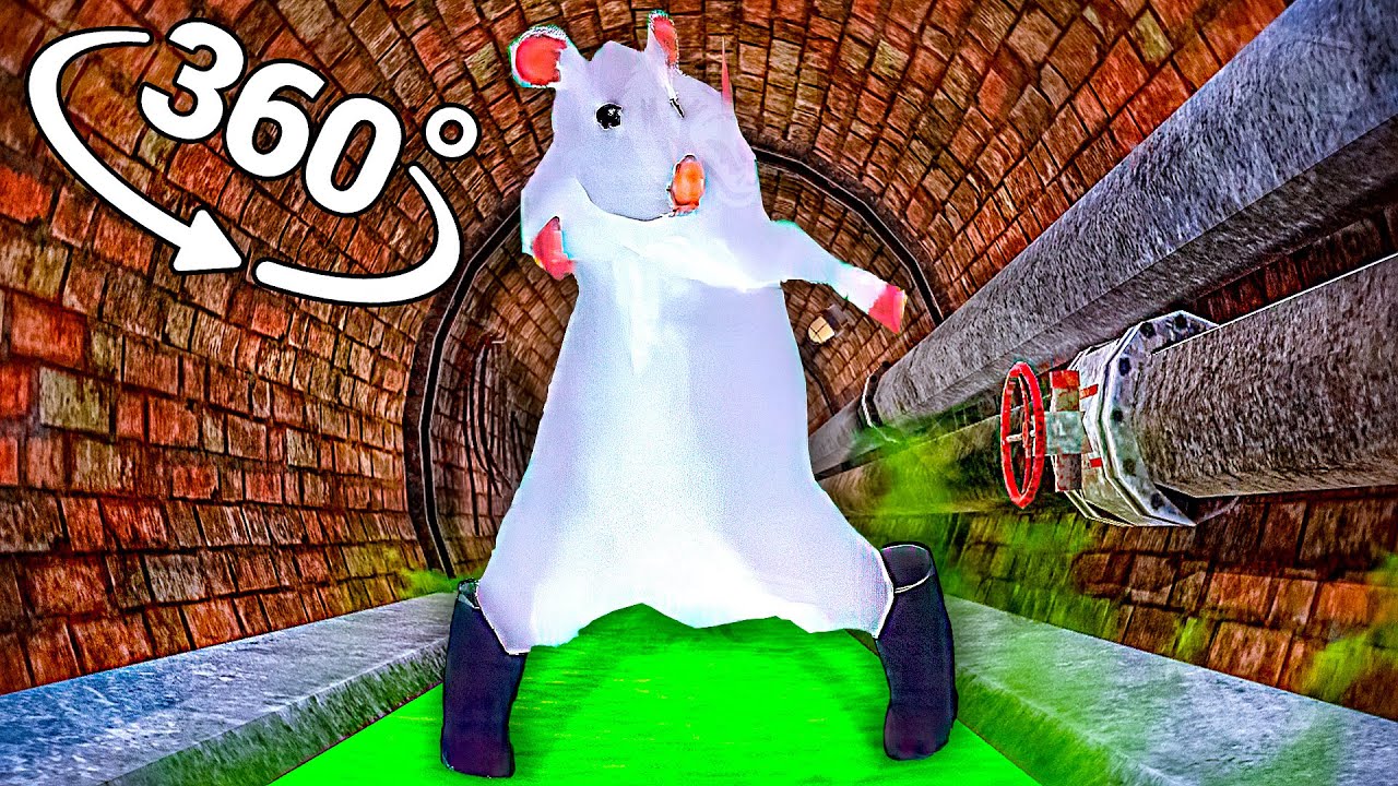 Rat dance - Sewers in 360&deg; Video | VR / 8K | ( Rat dance meme )