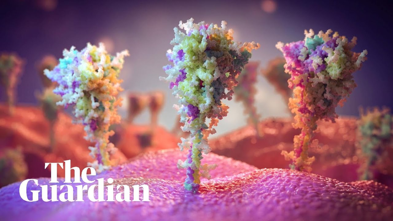 Why Omicron is the most worrying Covid variant yet