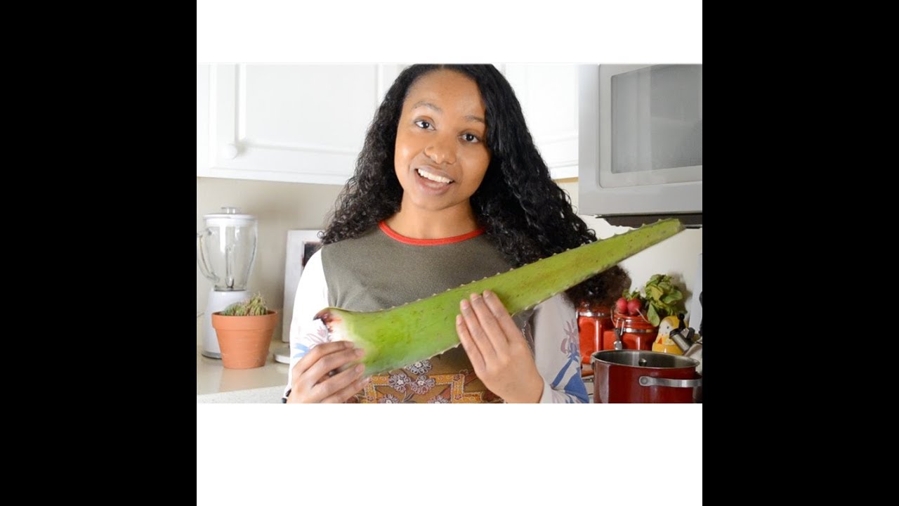 How to Make Aloe Vera Detangler and Leave in Conditioner
