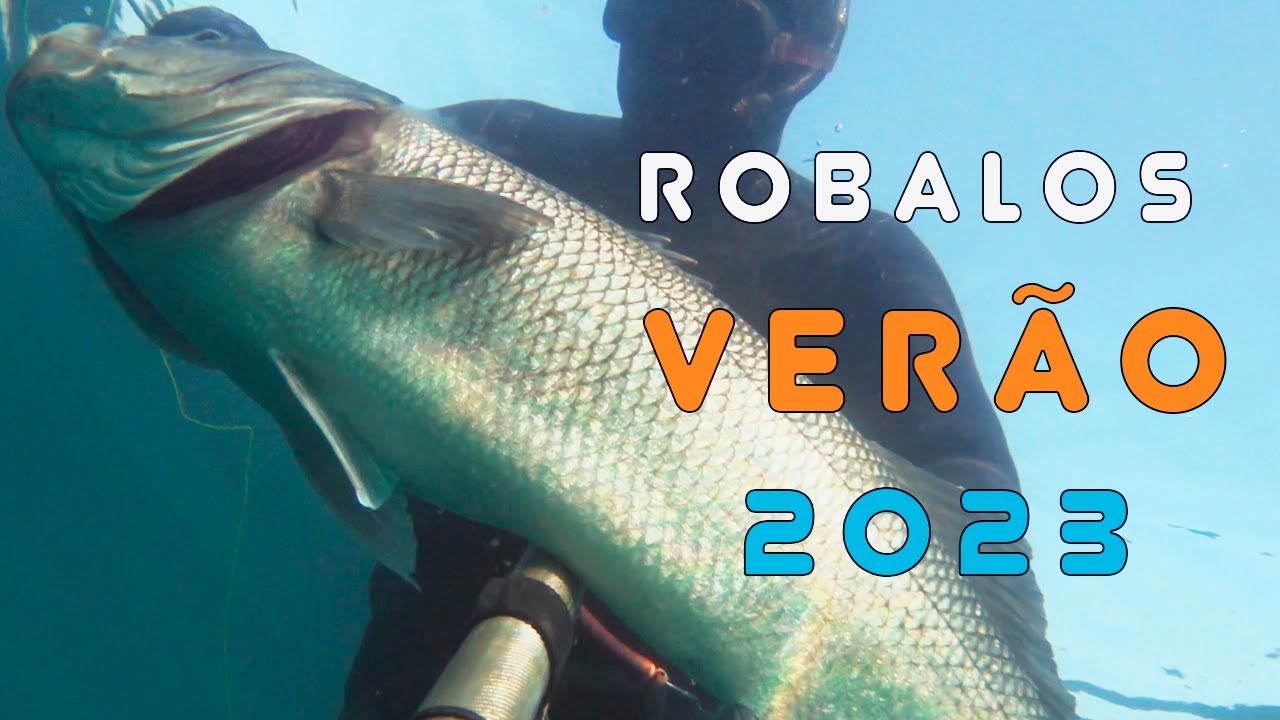 Robalos Verão 2023