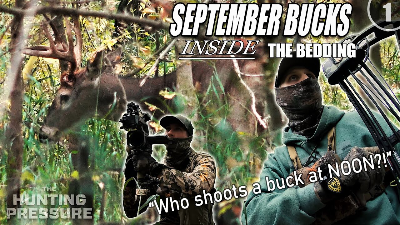 Bowhunting Early Season BUCKS IN THEIR BEDs (Public Land)