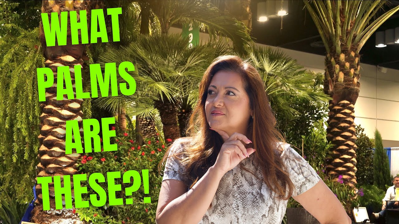 EXPERIENCE Orlando's Most EXOTIC Plants and Trees in 2025!