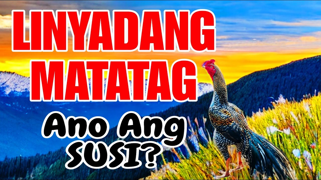 LINYADANG MATATAG