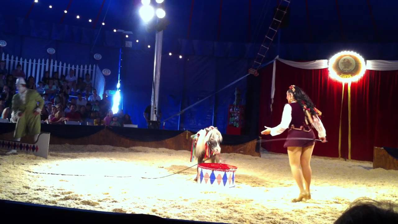 Circus Zoppé One Trick Pony