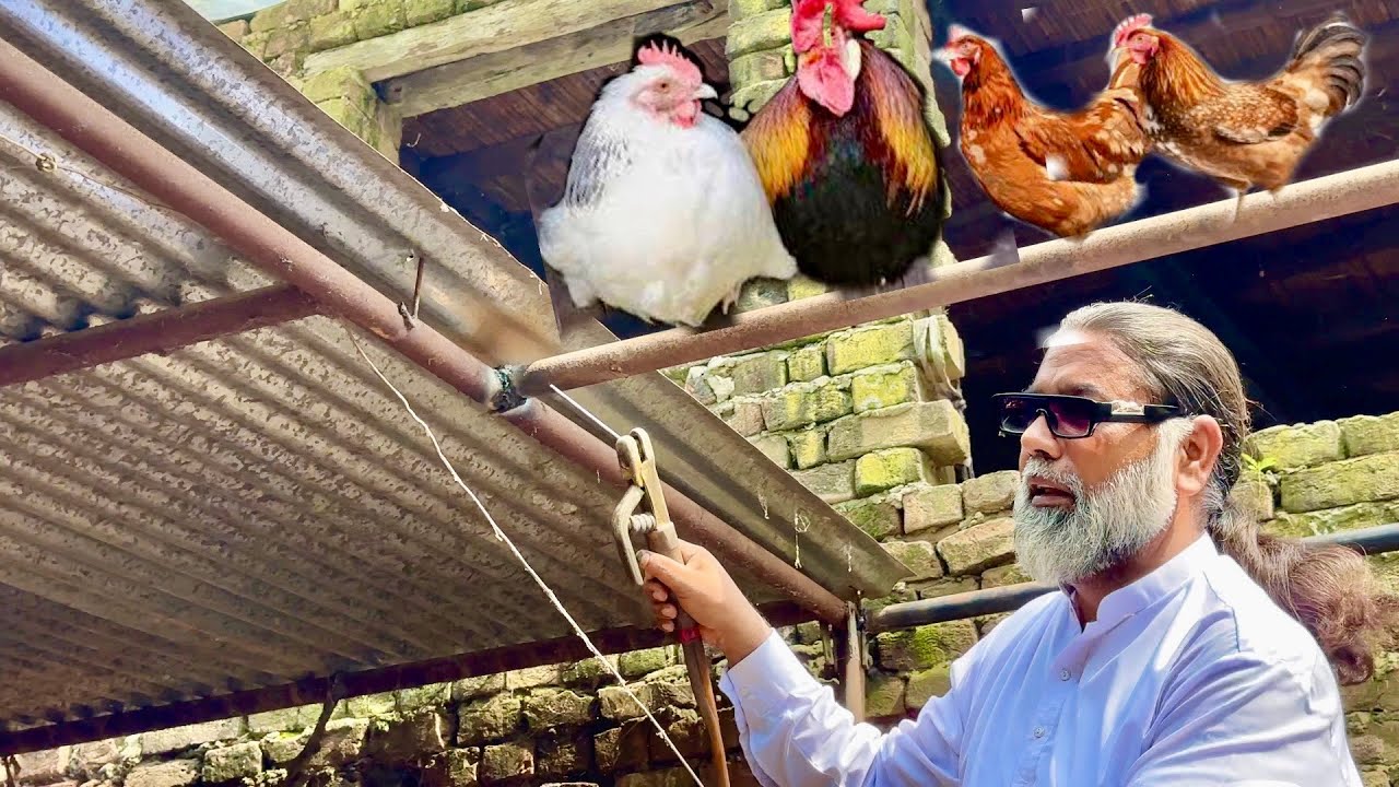 Barish Se Nuksan Barishon Se Kitchen Tut Gaya | Make A Big Cage For Desi Hens