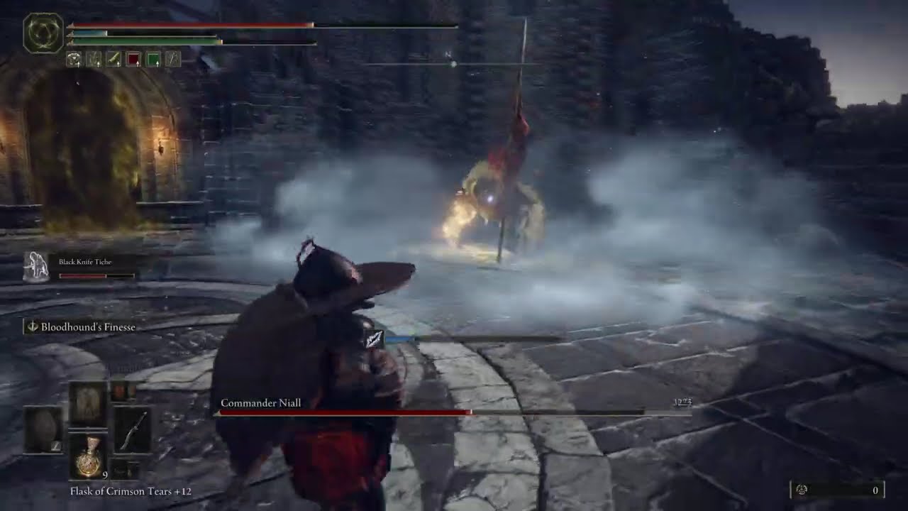 Elden Ring Bossfight Niall melee NG+5