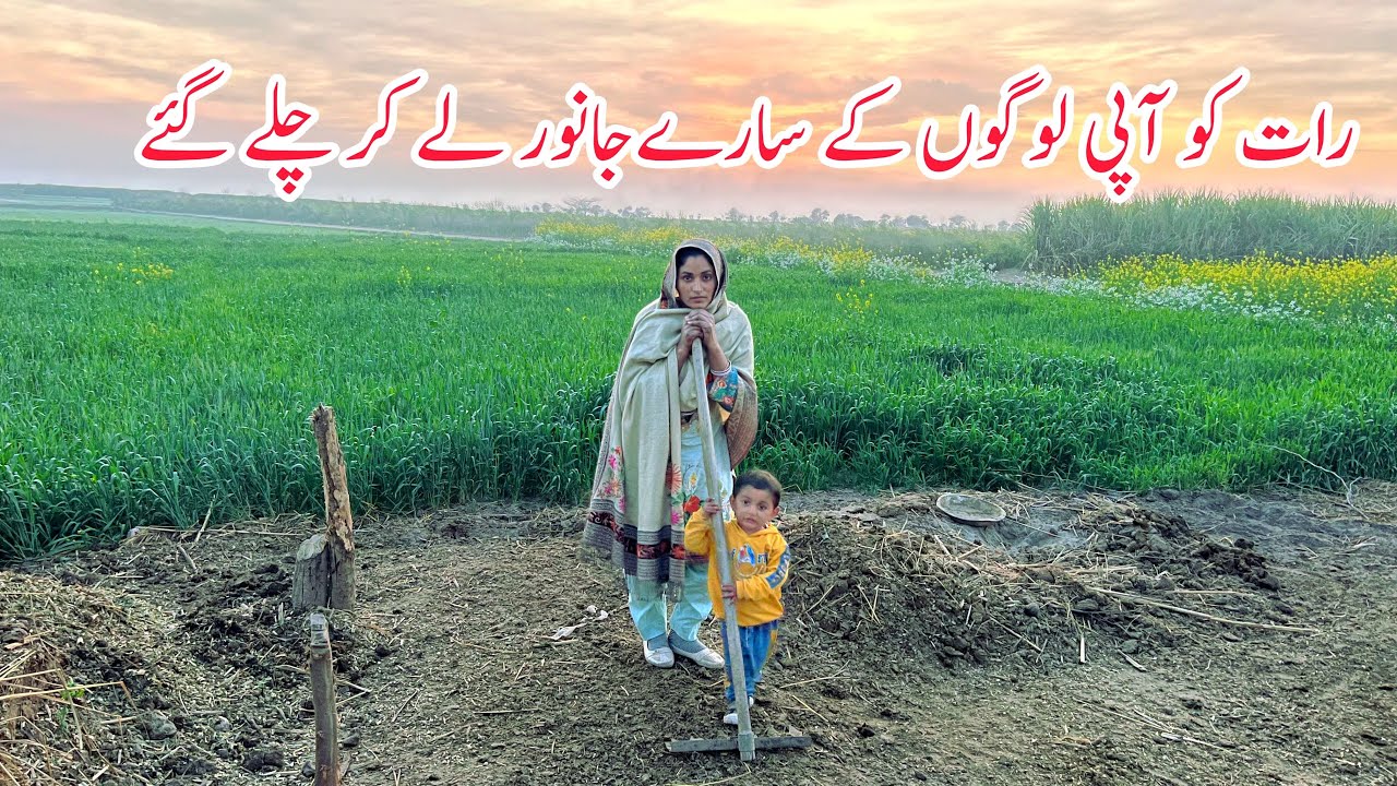 Aadhi Raati Ko Hamaray Janwar Hi Le Gai I Degi Chicken Biryani I Deg Recipe I Happy Joint Family