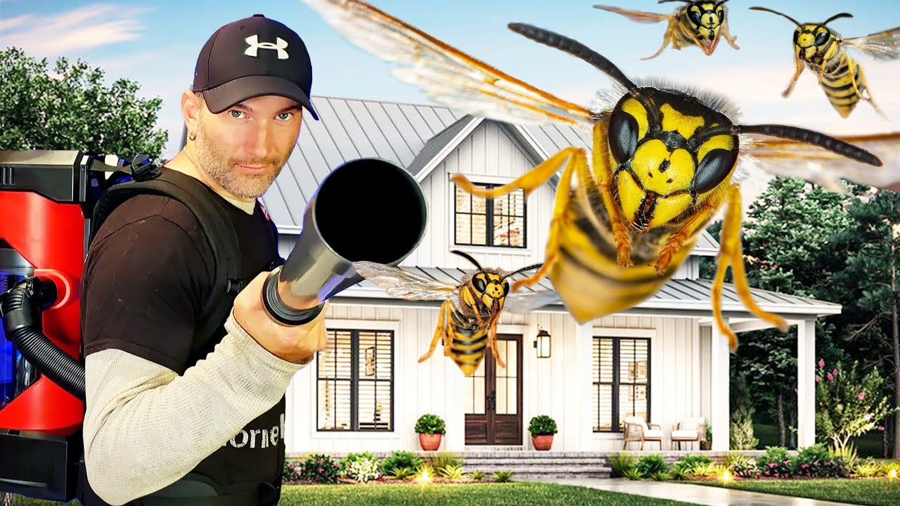 MASSIVE Yellow Jacket Nest | HOUSE Saved From Wasp Nest! Wasp Nest Removal