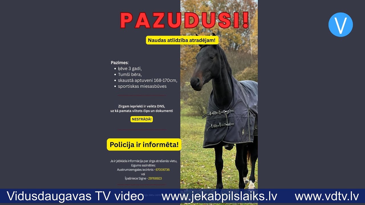 Ābeļu pagasta saimnieki meklē trīsgadīgo ķēvīti vārdā Zizī