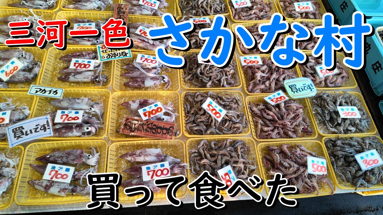 【三河一色さかな村】夏が『旬』のさかなたちで溢れていました。