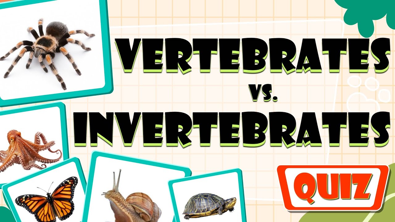 Vertebrates vs. Invertebrates Quiz for Kids | Animal Classification Challenge