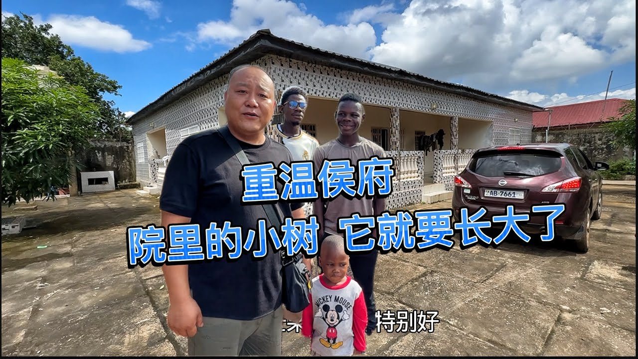 重温侯府，两颗芒果树长势很好，可惜保安下雨不关窗墙壁发霉了，我们决定过来住几天