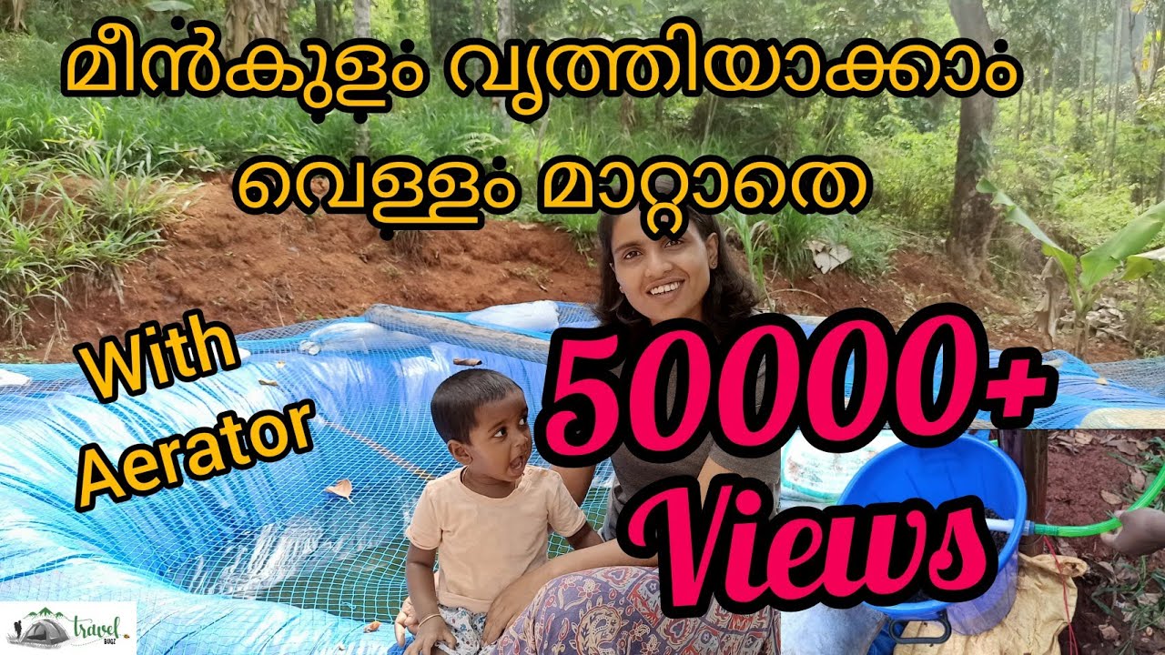 Waterfilter With Aerator For Fish Pond at Low Cost|| വാട്ടർഫിൽറ്ററും എയറേറ്ററും ഉണ്ടാക്കാം||Fishfarm