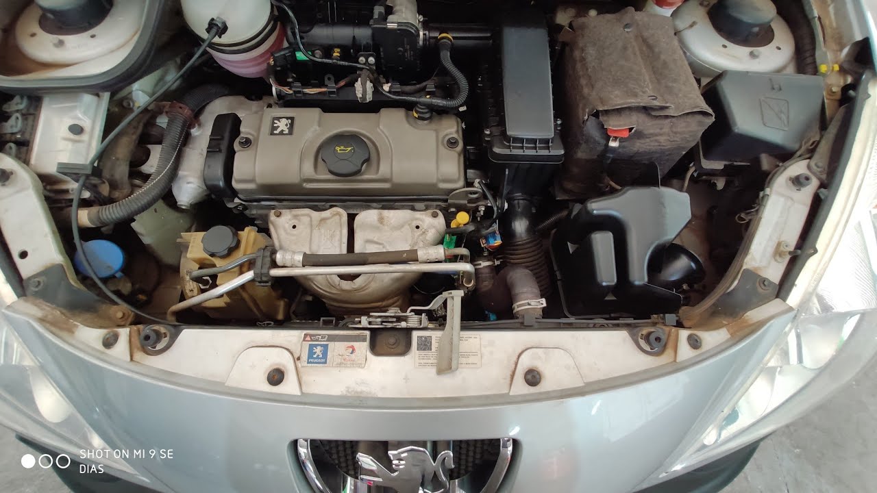 Vazamento de Óleo no Motor Peugeot Como Resolver ??