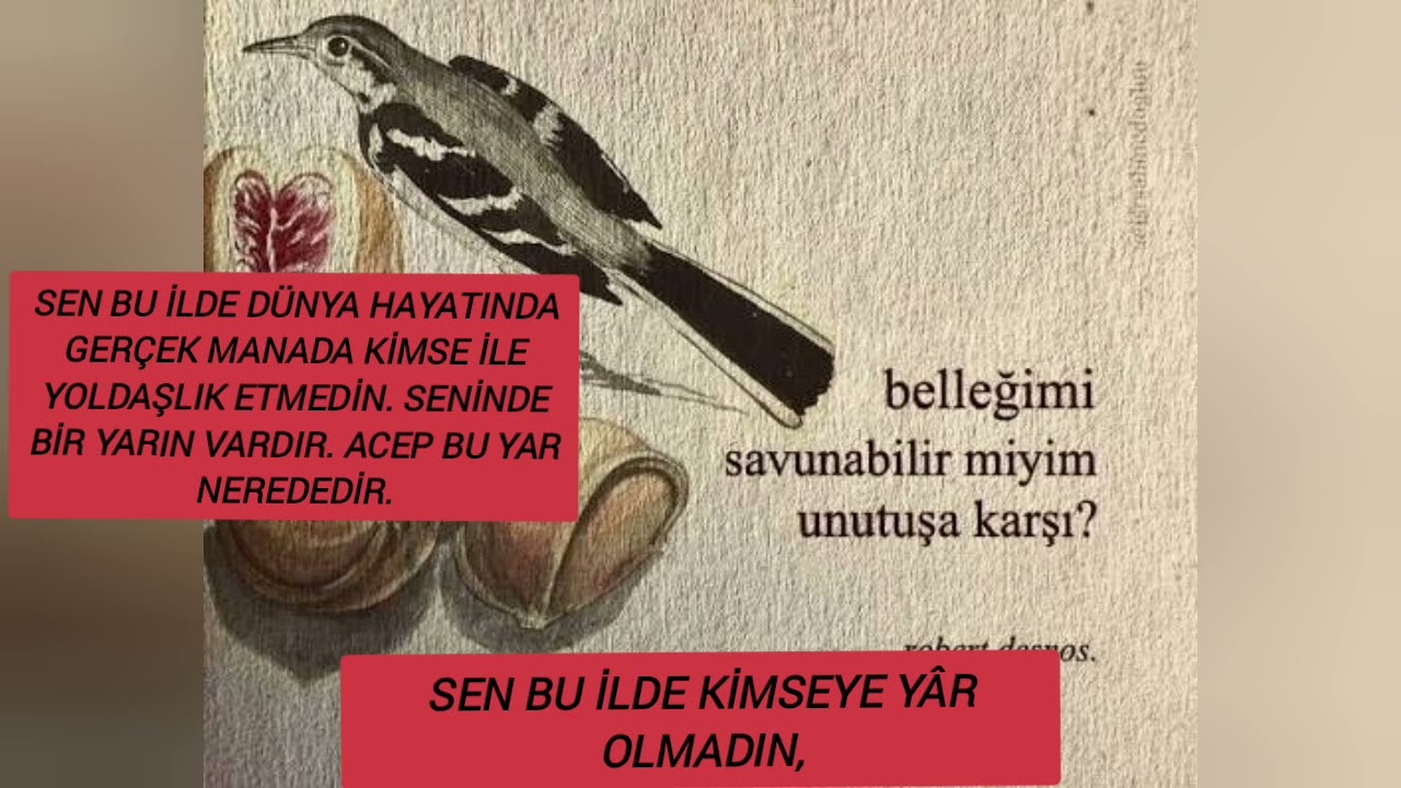 Ey Garip Bülbül diyarın Kandedir -Hicaz İlahi -Hafız Enes ışık #ilahiler #niyazimısri 