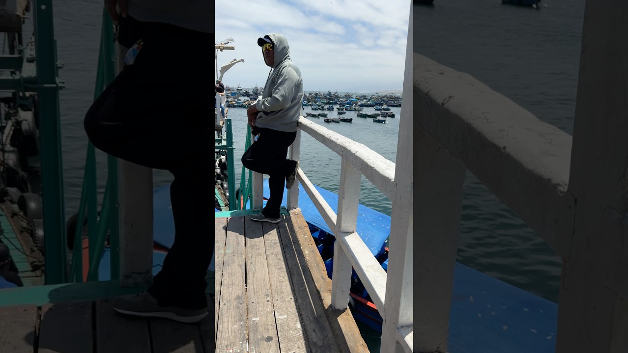 Muelle fiscal ilo paseo en bote