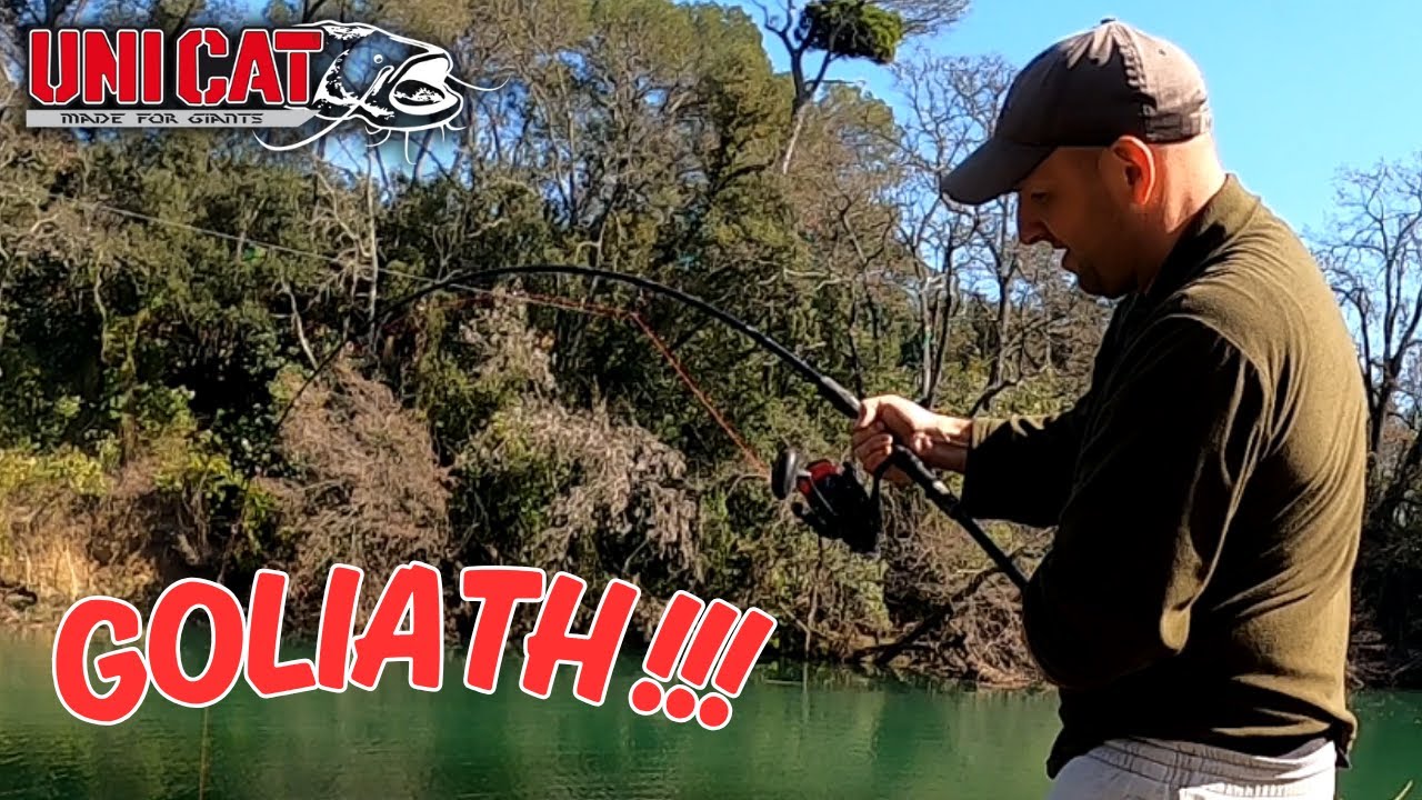 NOUVEAU COMBAT AVEC UN GROS GOLIATH DU BORD !!! #fishing#catfish#monster