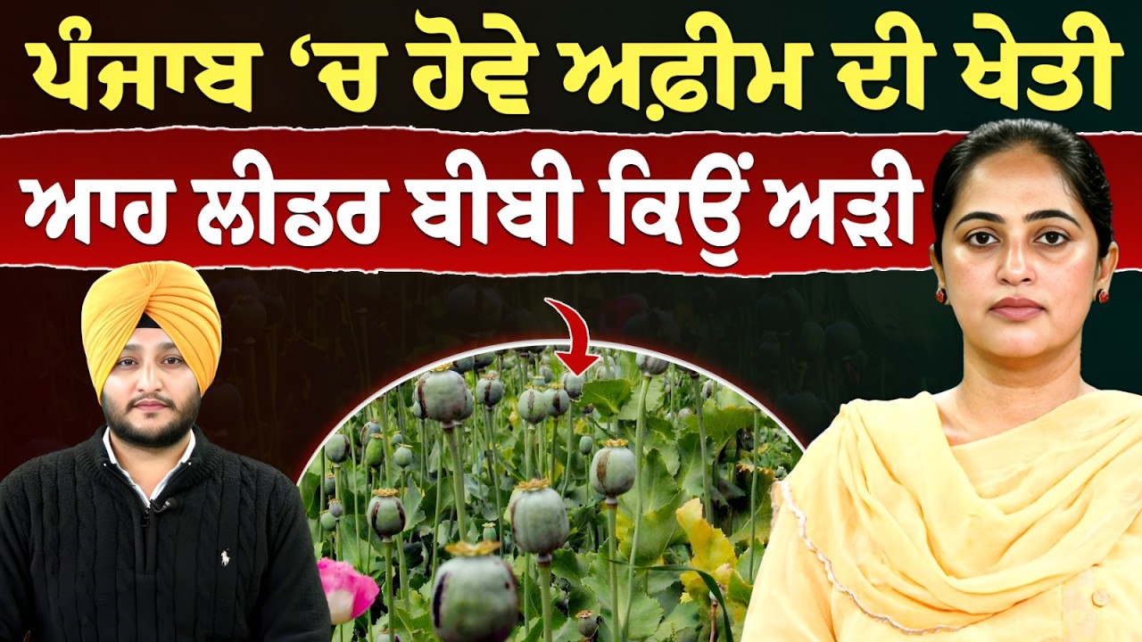 Prime Politics (113) || ਪੰਜਾਬ 'ਚ ਹੋਵੇ ਅਫ਼ੀਮ ਦੀ ਖੇਤੀ - ਆਹ ਲੀਡਰ ਬੀਬੀ ਕਿਊ ਅੜੀ | Amrit Kaur Gill