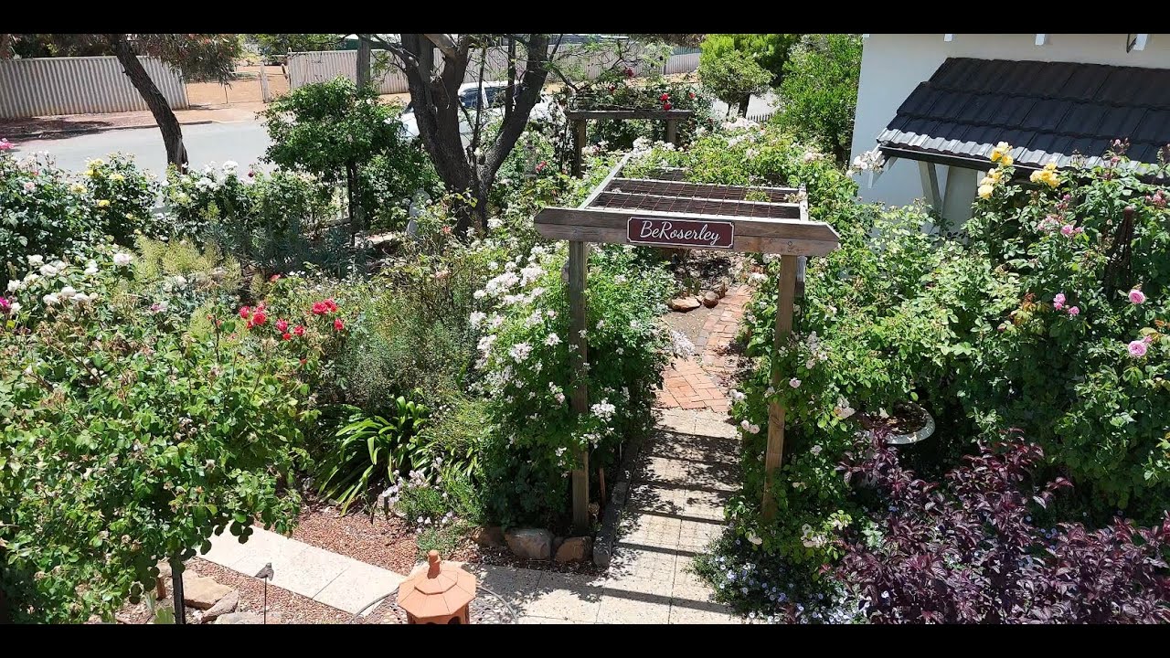 BeRoserley Rose Garden
