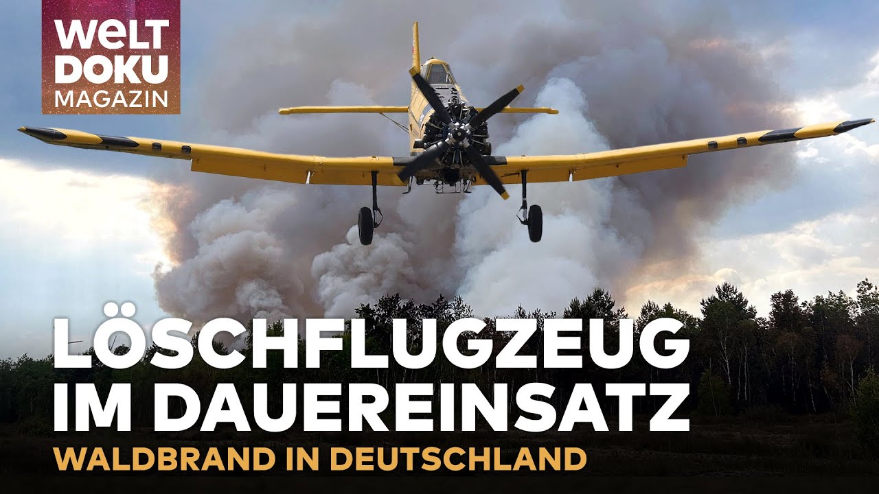 KAMPF GEGEN FLAMMEN: LÖSCHFLUGZEUG im Dauereinsatz gegen Waldbrand in Deutschland | WELT Magazin