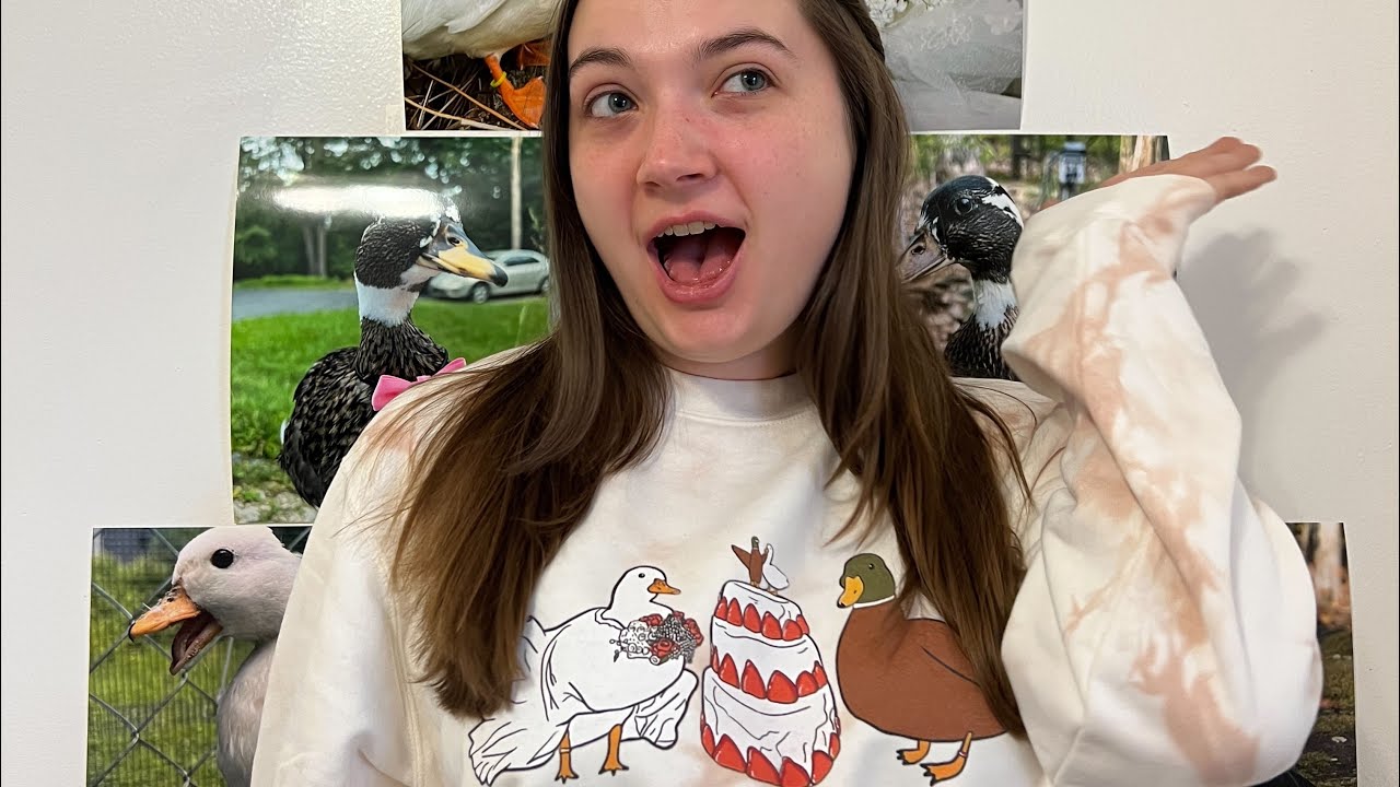 Ranking My Pet Ducks | Duck Pyramid Week 18