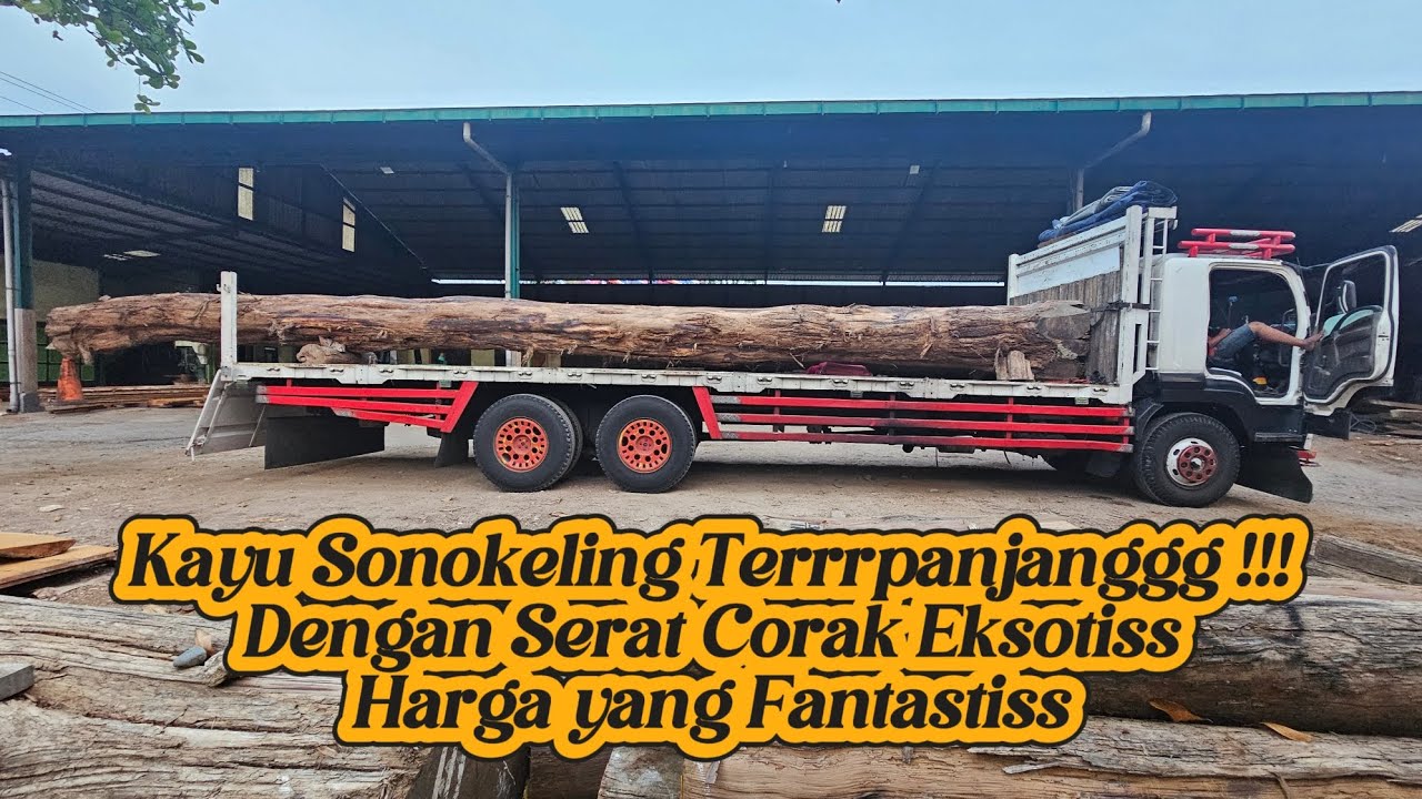 Proses Kayu Sonokeling  Corak Tereksotis Dengan Harga Fantastis!!!!