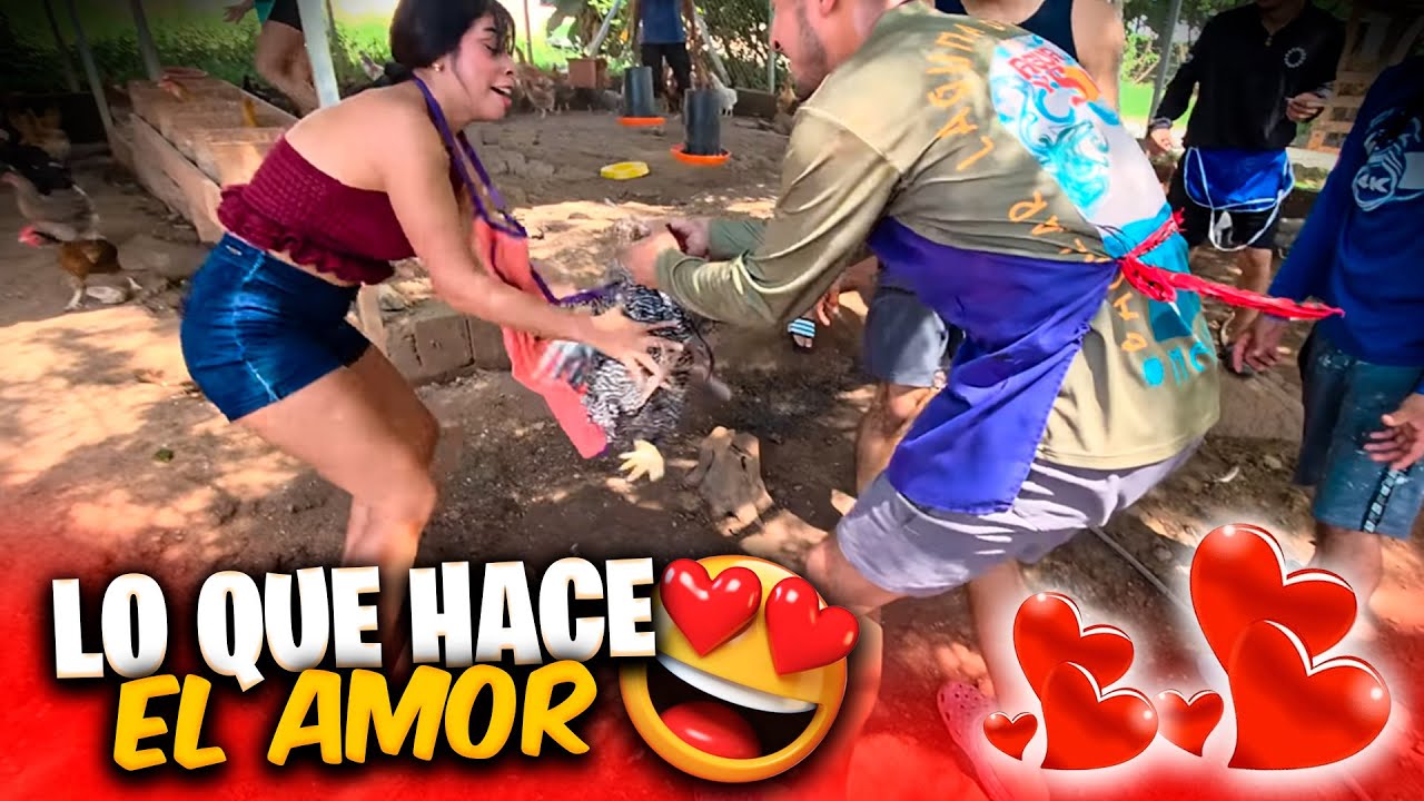 Briss tenia que agarrar una gallina y miren lo que hizo Paterna