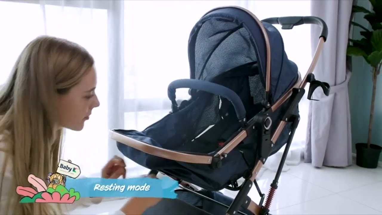Carucior, 2 in 1 KIDOO&reg; &ndash; Cărucior Pliabil cu Fața Inversă pentru Bebeluși cu Diverse Moduri