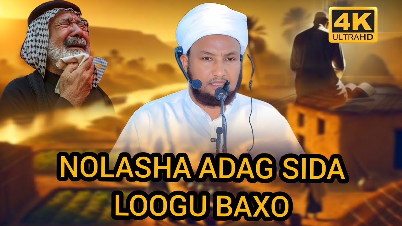 NOLASHA HADEE CULEES KUGU NOQOTO|| SH.XUSEEN CALI JABUUTI 