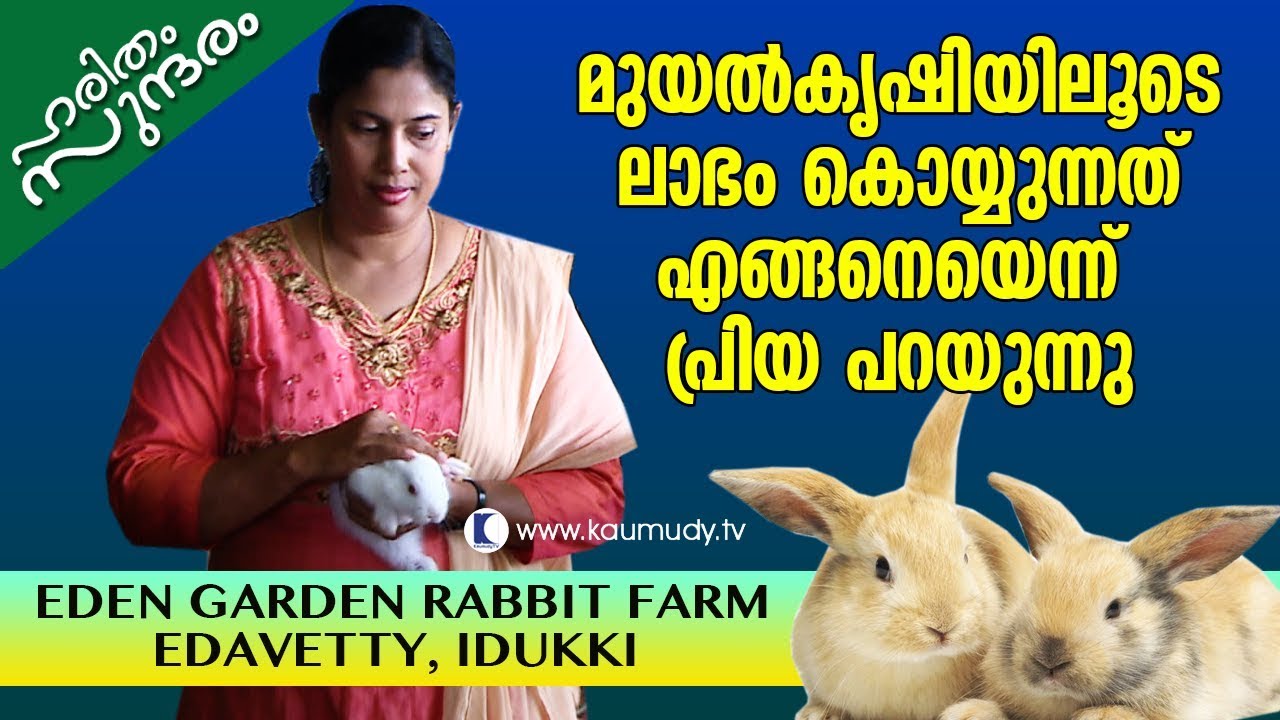 Rabbit farming is profitable business, says Priya | Haritham Sundaram EP 147 | Kaumudy TV