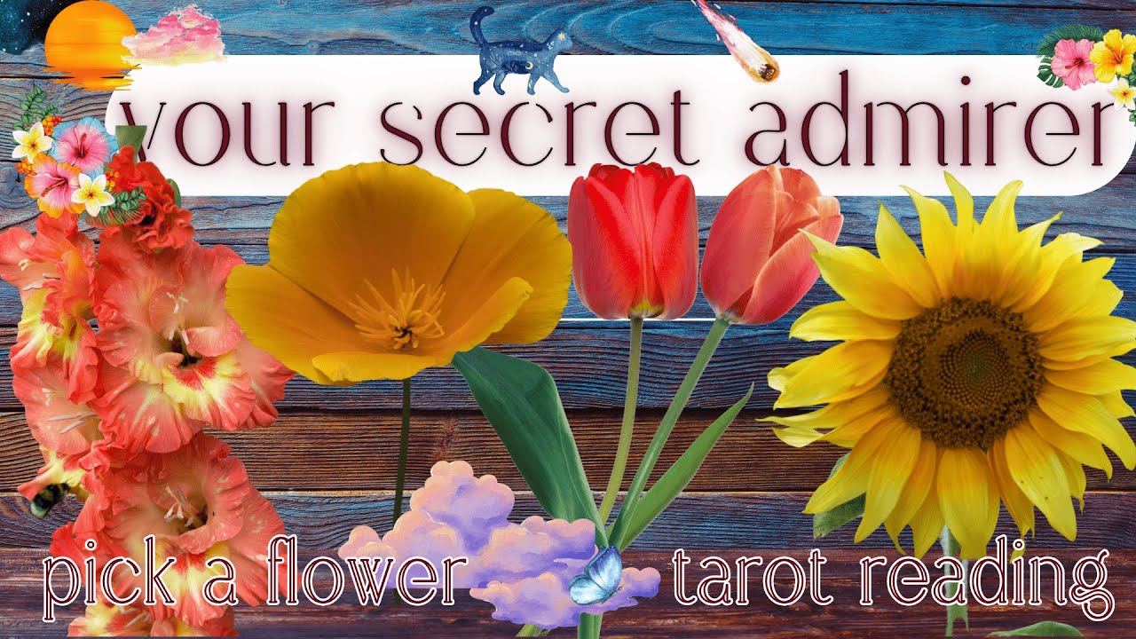 Who Has A Secret Crush On You? Their Next Move? What's Next?🌹| Pick A Card Tarot Reading For Love