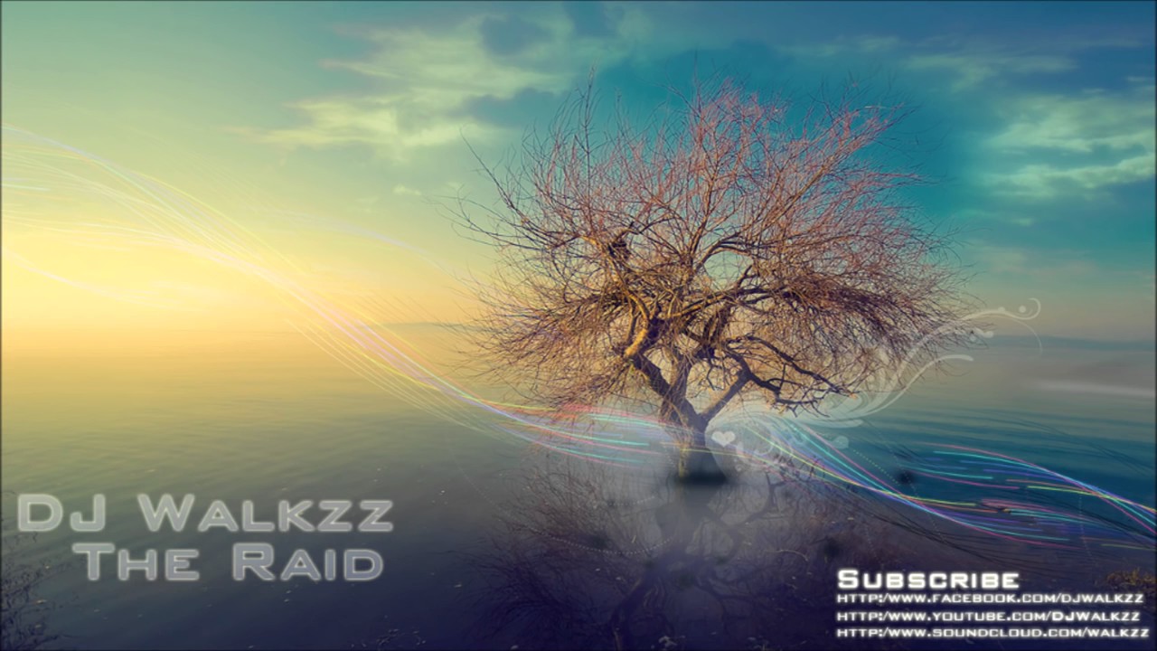 Alan Walker   The Raid