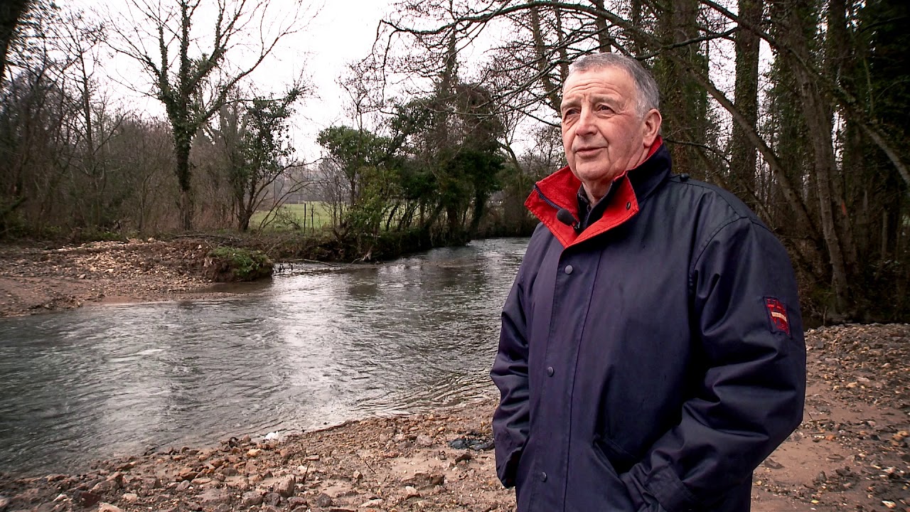 Restauration cours d’eau : La rivière préserve des inondations et favorise la biodiversité - AFB HEM