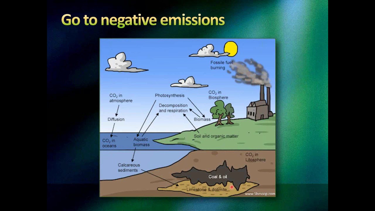 Backyard Carbon Sequestration    Adrian Fisher   12 4 19