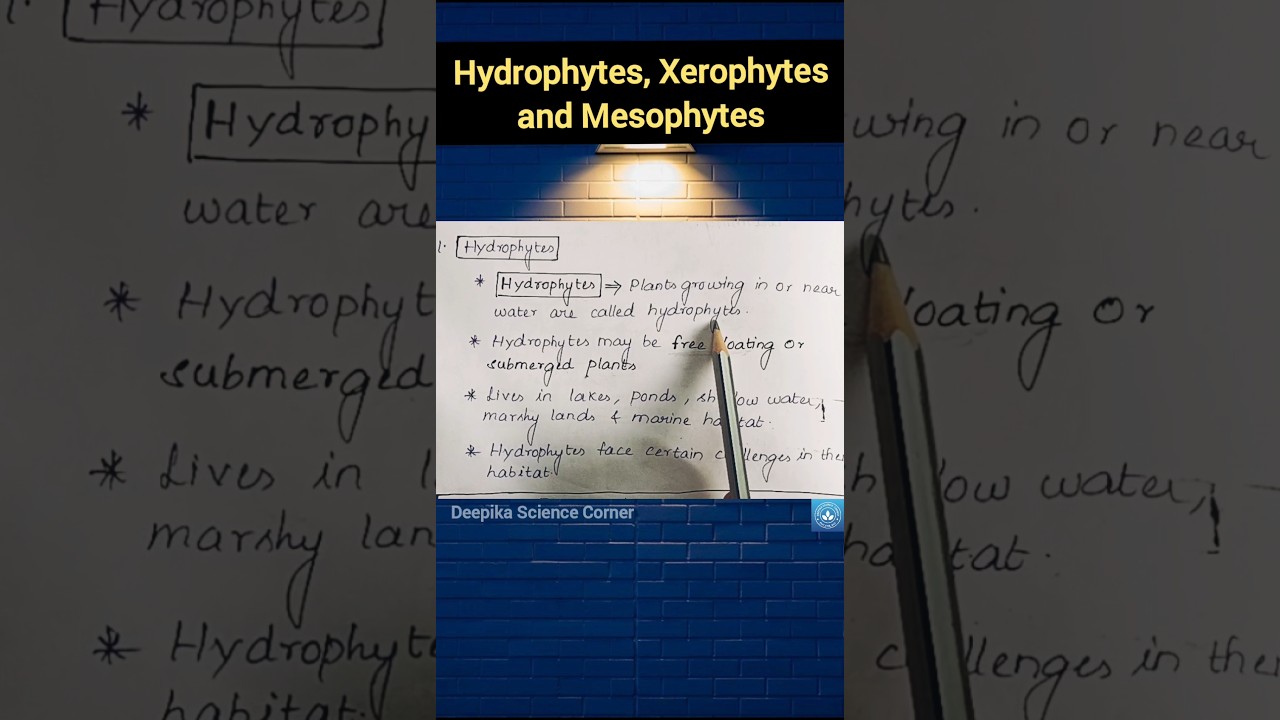 Hydrophytes, Xerophytes and Mesophytes #hydrophytes #xerophytes #mesophytes #deepikasciencecorner