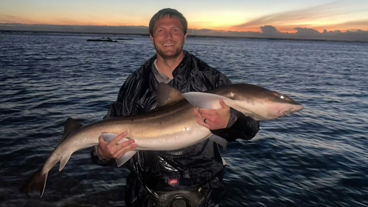Die Strandhonde!!! Catching houndsharks, shad and garrick... 