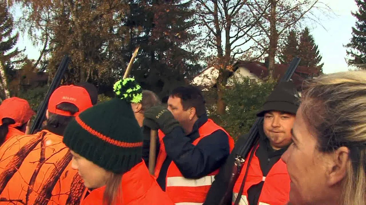 Treibjagd 2014