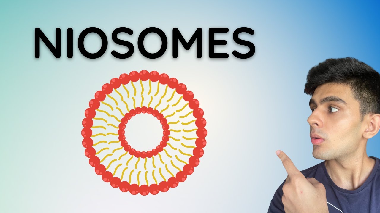 Niosomes Explained | Novel Drug Delivery Systems |