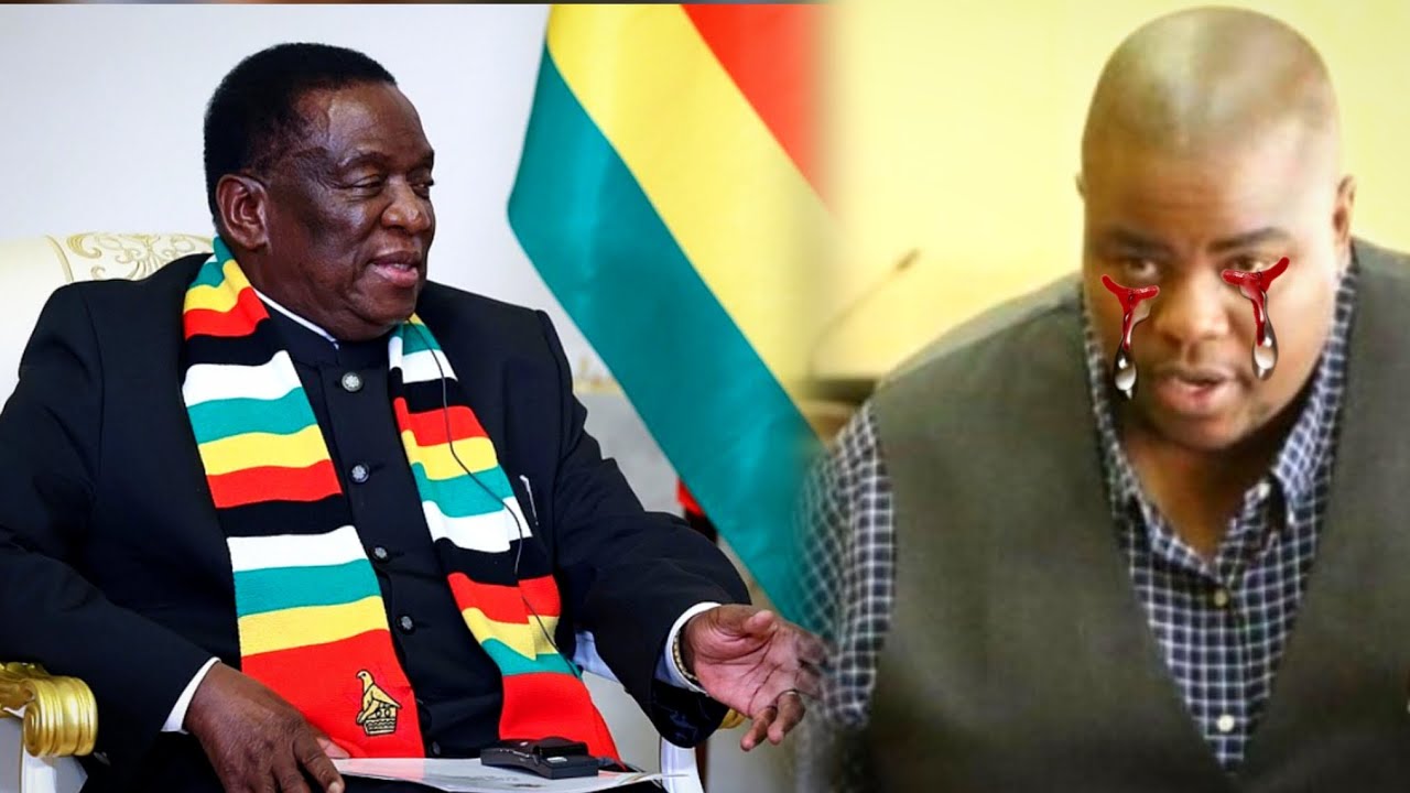 Nyaya ya Wicknell Chivhayo yazosvika kwakaoma manje, Murume apihwa 133 years mujeri zvazopera manje
