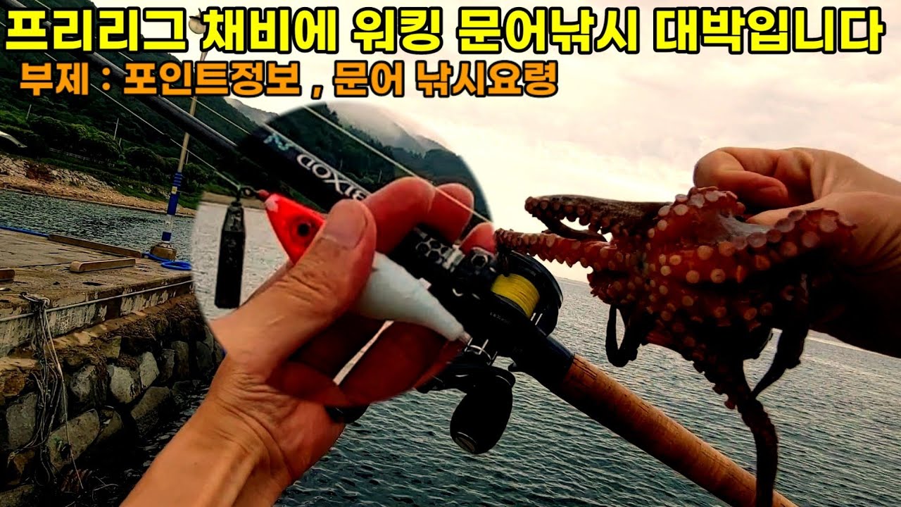 프리리그 채비에 워킹 문어낚시 대박 & 워킹에도 쉽게 잡히는 포인트