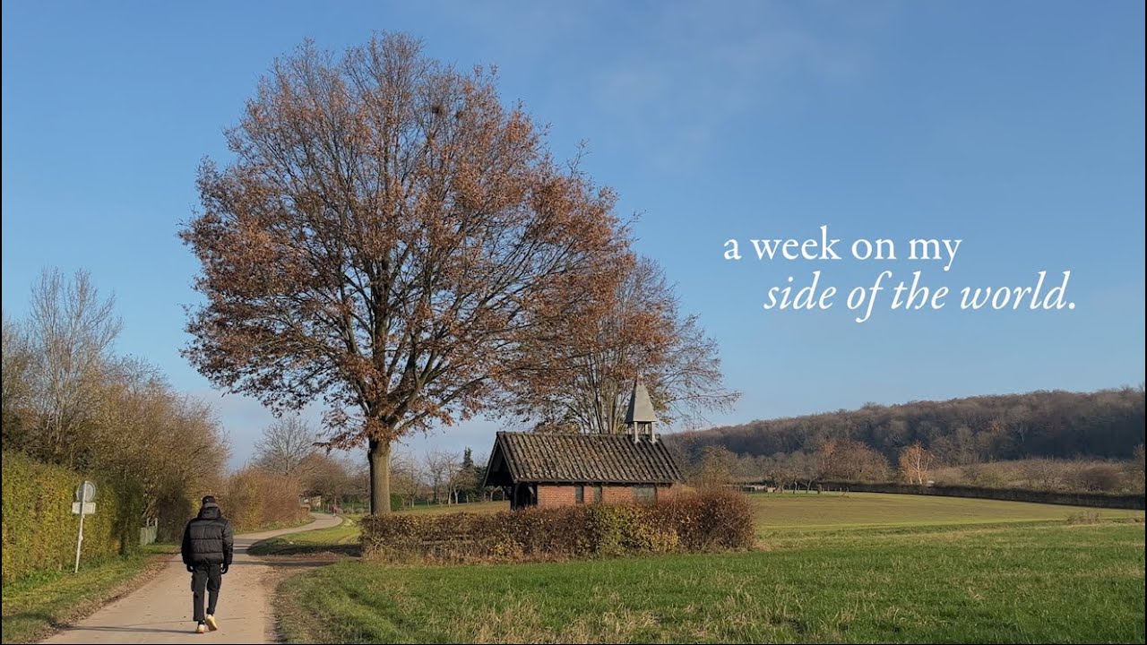 my brother visited me in the netherlands for a week.