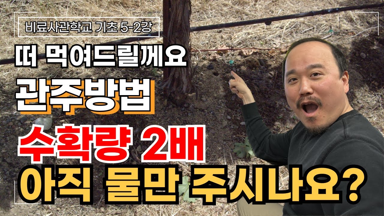 그 동안 여러분의 관주방법은 틀렸습니다.. 계획적으로 관주하세요 수확량 2배 됩니다 | 비료사관학교 5-2강 | 농사 100단