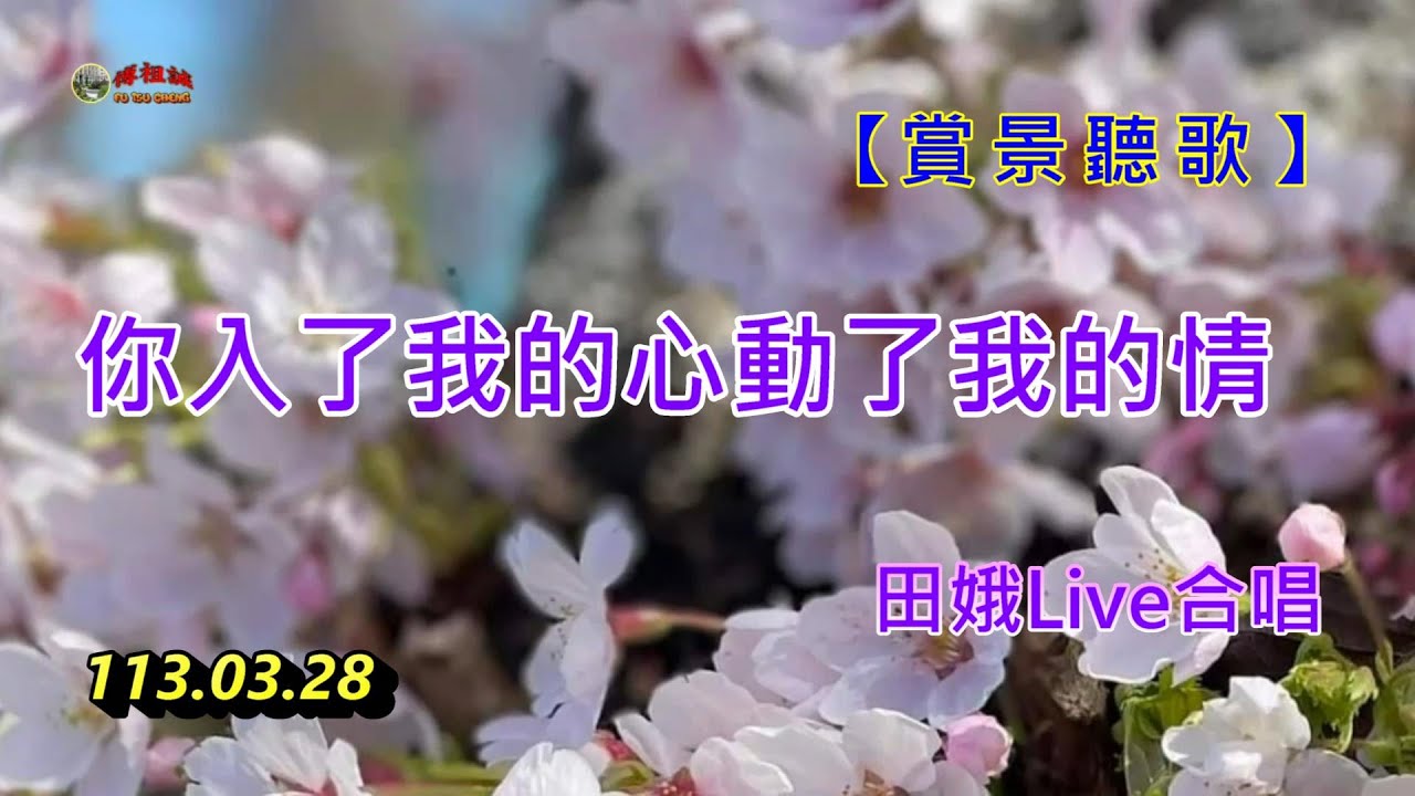 【賞景聽歌】~ 你入了我的心動了我的情