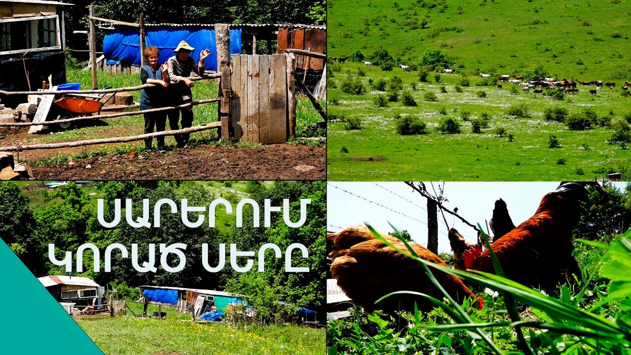 Սաղ քշեր մարդ ու կնիկ գիլի պես օռնում ենք սարերումը, որ գիլանուն վըխացնենք